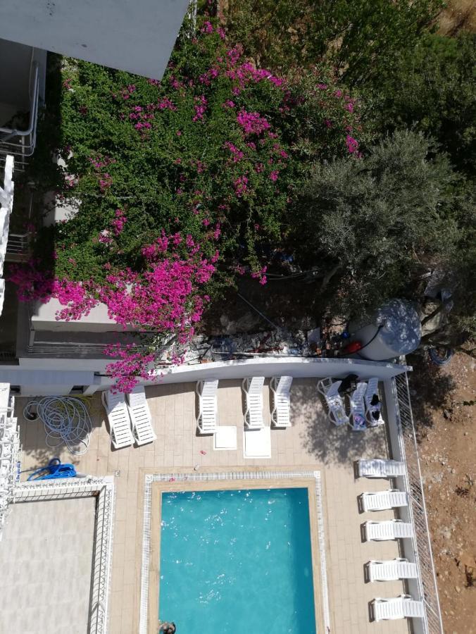 Cicek Apart Otel 디딤 외부 사진